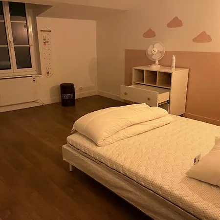 Grand Duplex Centre Historique Apartment *