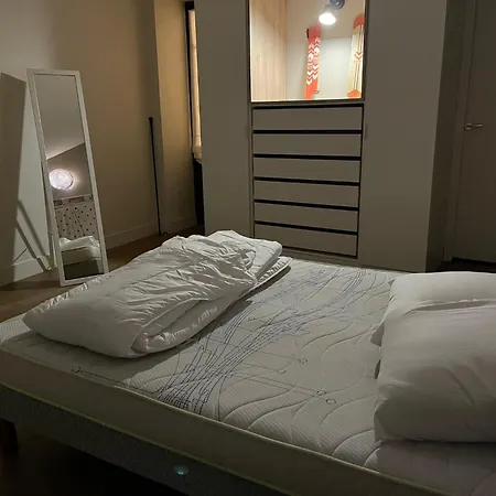 Apartment Grand Duplex Centre Historique